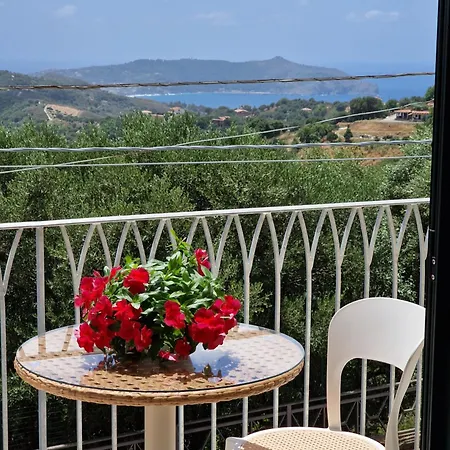 Marte チェントラ